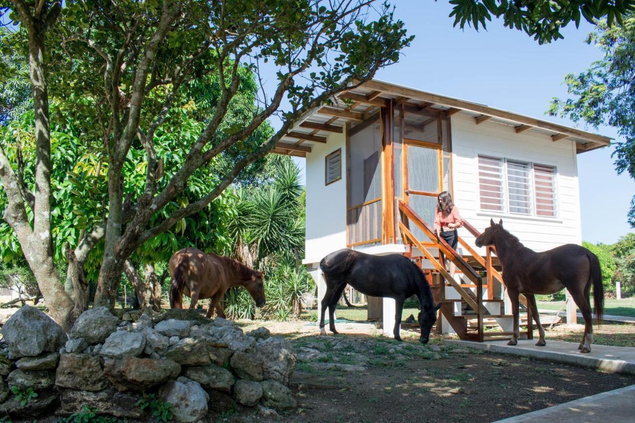 Horse Cottage Sarteneja Eksteriør bilde